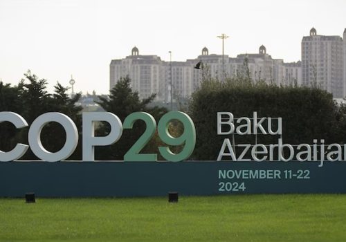 COP29