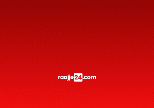 Untitled design