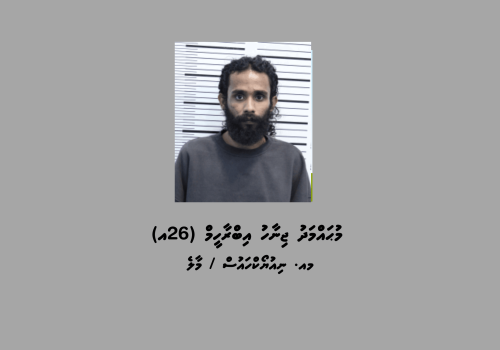 މާލެއިން ހައްޔަރުކުރި މީހާ - މޯލްޑިވްސް ޕޮލިސް ސަރވިސް