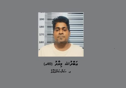 ރައީސް އަވަހާރަކޮށްލާނެ ކަމަށް ބުނެ އިންޒާރު ދިން މީހާ