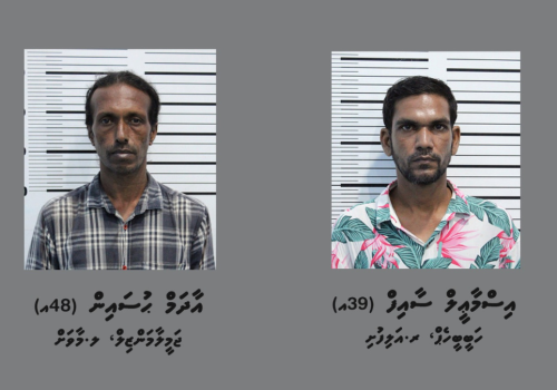 ފުލުހުން