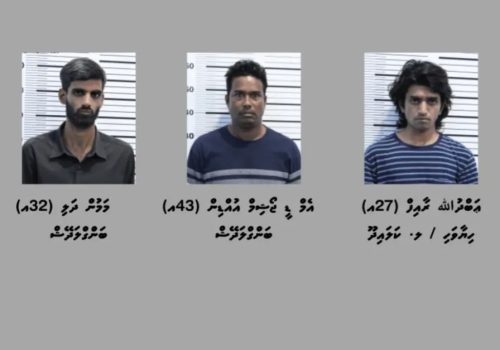 މާލެސަރަހައްދުން ހައްޔަރު ކުރި މީހުން---ފޮޓޯ:ަ ފުލުހުން