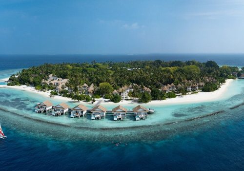 ފޮޓޯ: ޓްރިޕް އެޑްވައިޒަރ