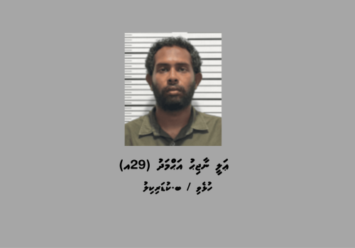 ކުޑަކުދިންގެ އޮރިޔާން ކާޑު ގެންގުޅުނު ކަމުގެ ތުހުމަތުގައި ހައްޔަރުކުރި ބ.ކުޑަރިކިލު, އަލީ ނާޖިހު އަޖަމަދު (29އ) -- ފޮޓޯ: ފޮލިސް