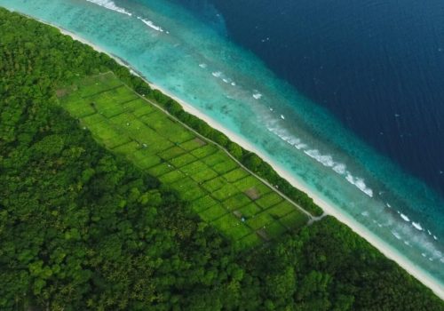 ރ. ފައިނު -- ފޮޓޯ: ފޭސްބުކް
