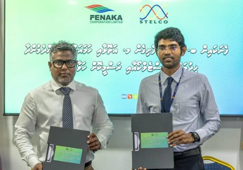 ފެނަކައިގެ  ބައެއް ޚިދުމަތްތައް ސްޓެލްކޯގެ ދަަށަށް ބަދަލުކުރުން