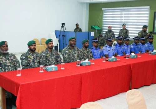 ޑައިވިންގ އޮޕަރޭޝަންގައި ބައިވެރިވި ސިފައިންނާއި ފުލުހުން ---