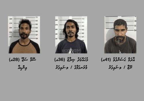 މަސްތުވާތަކެތީގެ މައްސަލައެއްގައި ނައިފަރުން ހައްޔަރުކުރި 3 މީހުން -- ފޮޓޯ: ފުލުހުން