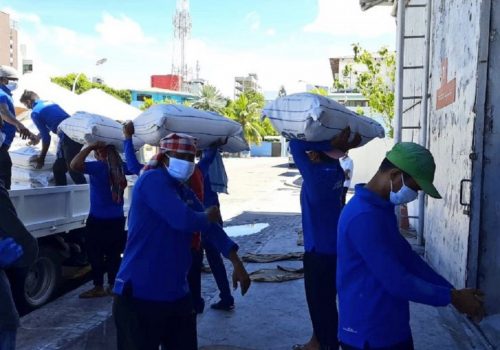 އެސްޓީއޯ މުވައްޒަފުން ކާޑުގެ ބާވަތްތައް އުފުލުމުގެ ތެރެއިން / ފޮޓޯ: އެސްޓީއޯ