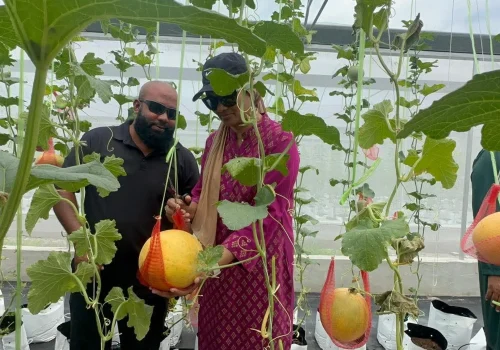laamu photo-1766233087602
