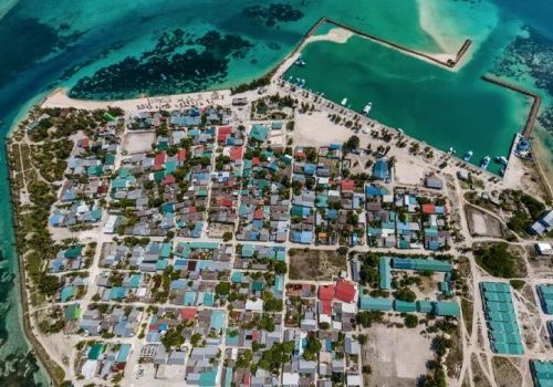 ތ. ވިލުފުށި - ބާޒާރު ނިއުސް