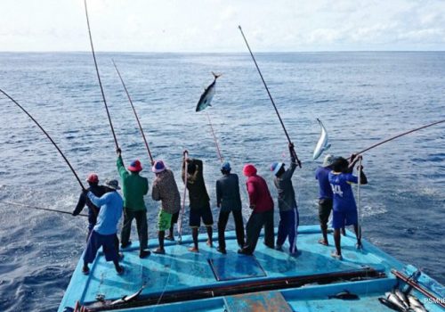 މަސްވެރިން، މާކަނޑުގައި މަސްބާނަނީ---ފޮޓޯ:ޕީއެސްއެމް