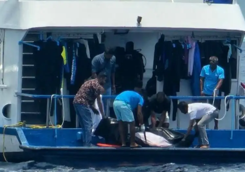 mv crisis