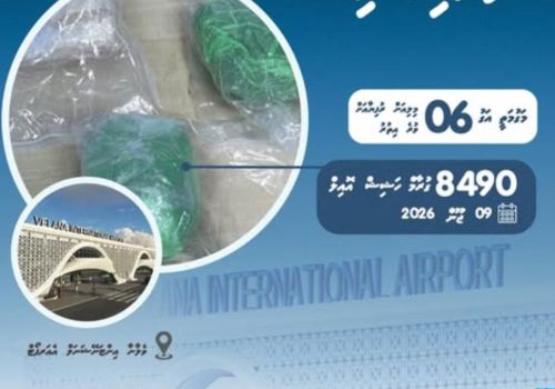 ވެލާނާ އިންޓަނޭޝަނަލް އެއާޕޯޓުން ރާއްޖެއަށް އެތެރެކުރަން އުޅެނިކޮށް އަތުލައިގަތް މަސްތުވާތަކެތި -- ފޮޓޯ: ކަސްޓަމްސް
