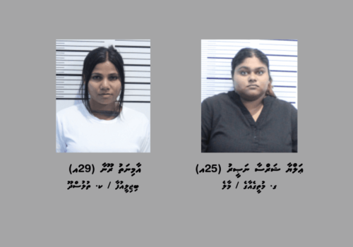 ވައިގެމަގުން ރާއްޖެއަށް ކިލޯއަކަށްވުރެ ގިނަ މަސްތުވާތަކެތި އެތެރެކުރިކަމުގެ ތުހުމަތުގައި ހައްޔަރުކުރި ދެ މީހުން -- ފޮޓޯ: ފުލުހުން