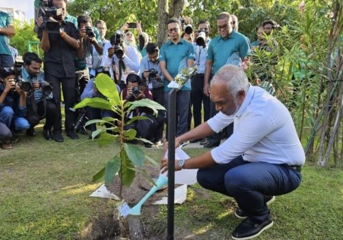 ފަސް މިލިއަން ގަސް އިންދުމުގެ ޕްރޮގްރާމް ރައީސް ފައްޓަވައިދެއްވަނީ / ފޮޓޯ: އެންވަޔަރަމަންޓް މިނިސްޓްރީ