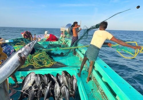 ފޮޓޯ:ޓްރެވެލްމޯލްޑިވް